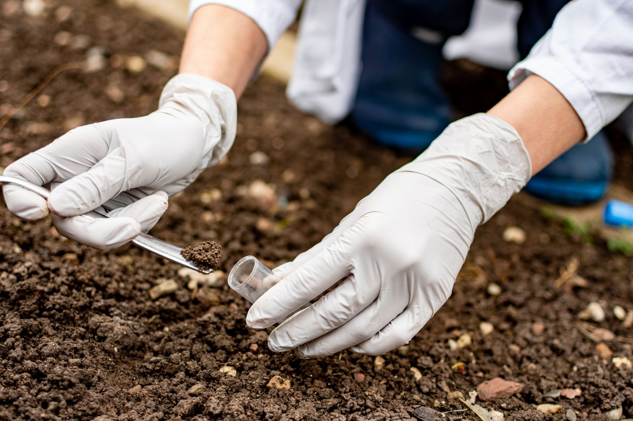 Environmental scientist collecting soil sample in test tube